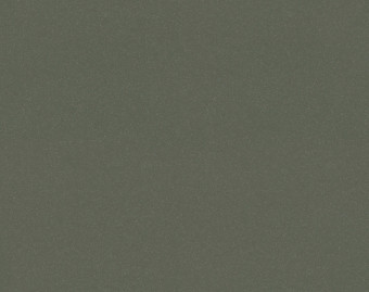 [1001111114_4] Surestep balance - 173632 bottle green